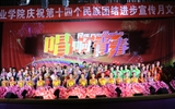 學院舉辦慶祝第十四個民族團結(jié)進步宣傳月文藝晚會